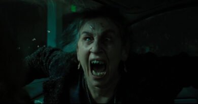 Drag Me to Hell (2009)